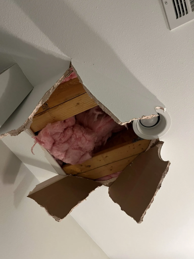 Ceiling & Drywall Repair